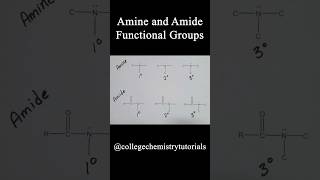 Amine amp Amide Functional Groups [upl. by Nameloc]