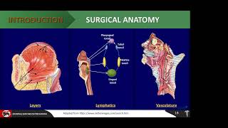 Oropharyngeal SCC An Overview Dr Dadi Hassan [upl. by Frere]