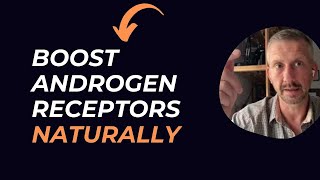 How To Increase Androgen Receptors  Heat Shock Proteins [upl. by Salguod]