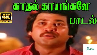 Kadhal Kayangale Neengal  காதல் காயங்களே  K J YesudasMalaysia Vasudevan  Love Sad Song [upl. by Amhsirak]