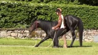 Natural Trick Training Expert SHERDIL amp Rebecca Dahlgren [upl. by Hampton909]