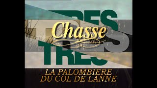 Chasse à la palombe la palombière du col de Lanne [upl. by Naniac92]