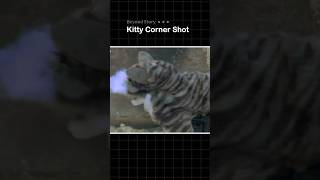 Kitty Corner Shot 🙀 [upl. by Etnuahs63]