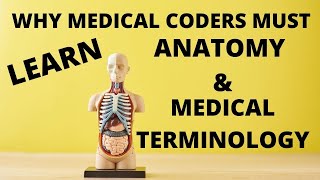 WHY MEDICAL CODERS MUST LEARN MEDICAL TERMINOLOGY ANATOMY AND PHYSIOLOGY  MEDICAL CODING WITH BLEU [upl. by Dranyam714]