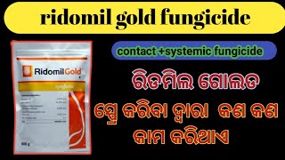 Ridomil Gold Fungicide Use Odia  Metalaxyl m 4  Mancozeb 64 Wp [upl. by Nuj]