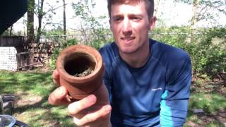 Yaupon Holly vs Yerba Mate  Vlog 25 [upl. by Lourdes]