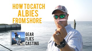 How to catch albies from shore on the fly  Long Island New York [upl. by Sprung656]