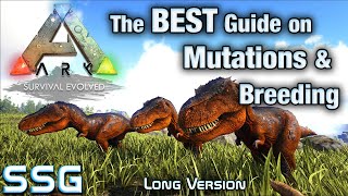 ARK SURVIVAL The Best Guide on Breeding Stat Mutations SeeShellGaming [upl. by Aynuat]