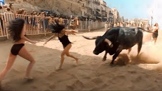 When Animals Go On A Rampage And Got Caught On Camera [upl. by Elsinore]