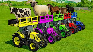 TRANSPORTING COWS SHEEPS HORSES BULLS GOATS amp TRACTORS WITH MAN TRUCKS  Farming Simulator 22 [upl. by Dunn]