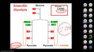 Metabolism in ischemia and hypoxia by Dr Hussein Abdelaziz [upl. by Odelinda]