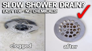 DONT LIVE with SLOW DRAINS  Make Your Shower Drain like New In 2 Minutes [upl. by Lala448]