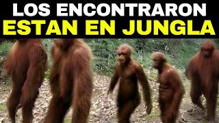 Una Especie Humana Recién Descubierta Plantea Grandes Dudas Sobre el Origen de los Humanos [upl. by Iggep]