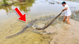 16 FOOT PYTHON FOUND IN FLORIDA  WE FOUND THE SWAMP MONSTER [upl. by Aplihs]