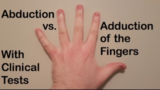 Abduction vs Adduction of the Fingers Clinical Tests and an Easy Way to Remember [upl. by Petulah220]