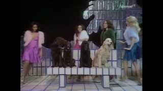 Pans People  Get Down  TOTP TX 25121973 [upl. by Longerich]