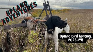 Hunting WILD Pheasants and more 202324 highlights [upl. by Rieger]