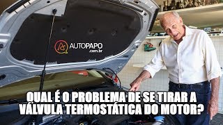 Qual é o problema de se tirar a válvula termostática do motor [upl. by Nedaj]