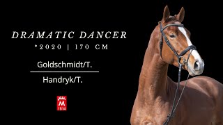 Dramatic DancerT 2020 v EH GoldschmidtT  HandrykT [upl. by Lorusso]