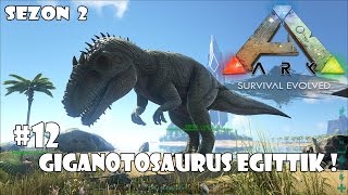 Giganotosaurus Eğittik   ARK Survival Evolved Sezon 2 12 Türkçe [upl. by Araiek255]