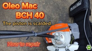 Oleomac BCH 40  piston replacement  how to fix brushcutter [upl. by Graybill365]