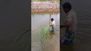 மனிதனை மிரள வச்ச மீன்கள்🤔😱Fishes that threaten humansshorts fishing [upl. by Memberg868]