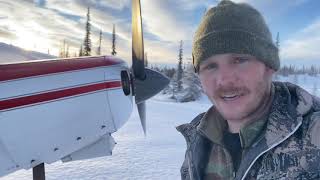 S20Ep3 Setting Wolverine and Marten traps in Alaska Expanding Area [upl. by Kruse]