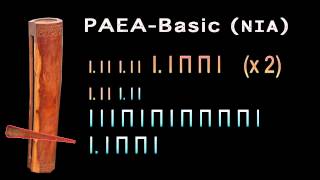 Toere PAEA Basic NIA with Tabs [upl. by Mishaan400]