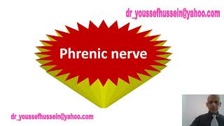 Phrenic nerve  Roots  Course  Branches  Injury  Hiccough  Why left is longer  Referred pain [upl. by Ahsiken]