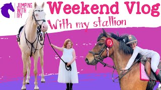 Weekend Vlog with Crown’s Ace Of Pearl and Show Jumping at Newbold Verdon Equestrian Centre [upl. by Eronaele735]