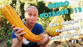 HEBDO POTAGER 12  Bien manger [upl. by Nerok]