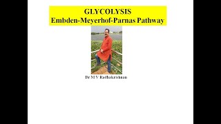 GLYCOLYSIS EMBEDEN MEYERHOF PARNAS PATHWAY [upl. by Nnyltiac]