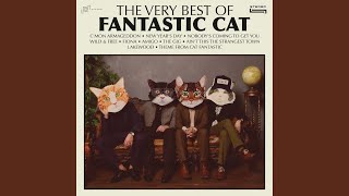 Theme From Cat Fantastic [upl. by Phina604]