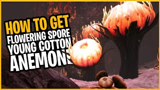 How to Get Flowering Spore amp Young Cotton Anemone  Subnautica Below Zero Final Release [upl. by Fonda]