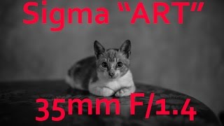 Sigma quotArtquot 35mm f 14 DG HSM Review  Sony Alpha mount [upl. by Yruok917]