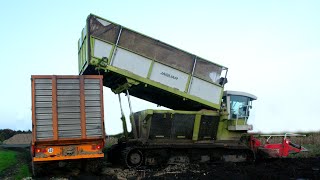 HD Kettenhäcksler Einsatz in Ostfriesland 2012 [upl. by Westleigh]