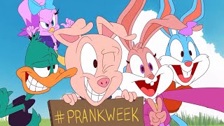 Tiny Toons Looniversity  Prank War clip [upl. by Nivag]