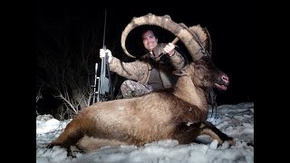 Bezoar Ibex Hunting in Turkey  Kemal Burak DURANERRecp Ecer [upl. by Boarer]