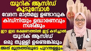 യൂറിക് ആസിഡ് കുറയാൻ ഈ ഇല ഭക്ഷണത്തിലിട്ട് കഴിച്ചാൽ മതി uric acid kurayaan malayalam [upl. by Itnava]