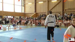 Démonstration Technique  Me Eric Albasini Entraineur Poomsae de la Ligue Nouvelle Aquitaine [upl. by Rekyr881]