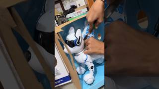 Kunali ka New robot dog unboxing 🤣 shorts souravjoshivlogs minivlog [upl. by Ynnor]