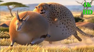 fat animals  if animals were fatty funny cartoon short film [upl. by Viccora]