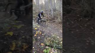 Session Evo bike Park 🔥🔥 mtbenduro dh [upl. by Kelli]