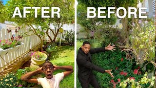 🤯 Before and After 🤯 trending vlog garden minivlog video viralvideo trendingvideo funny [upl. by Bohi]