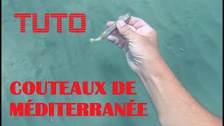 TUTO  Comment récolter des couteaux en mer méditerranée [upl. by Hausmann]