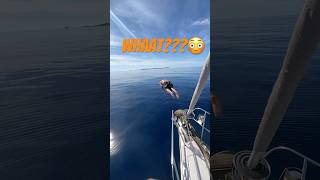 Poros Greece epic jump [upl. by Winikka]