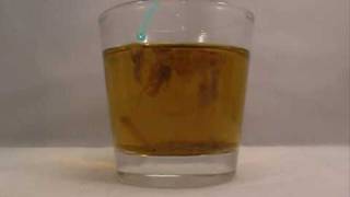 Coppersulfate Precipitation Reaction 1 [upl. by Padgett]