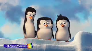 Meet Skipper  Penguins of Madagascar  Penguin Problems  DWKids [upl. by Odilo]