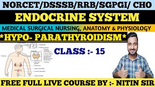 ENDOCRINE SYSTEM Medical Surgical Nursing CLASS 15FREE LIVE COURSE NORCETDSSSBRRB freeclasses [upl. by Ynabe]