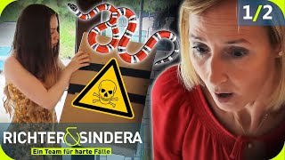 GIFTIGES Geschenk Nadja öffnet PAKET amp ringt nach BISS um Leben 🐍​ 12 Richter amp Sindera  SAT1 [upl. by Yevette]